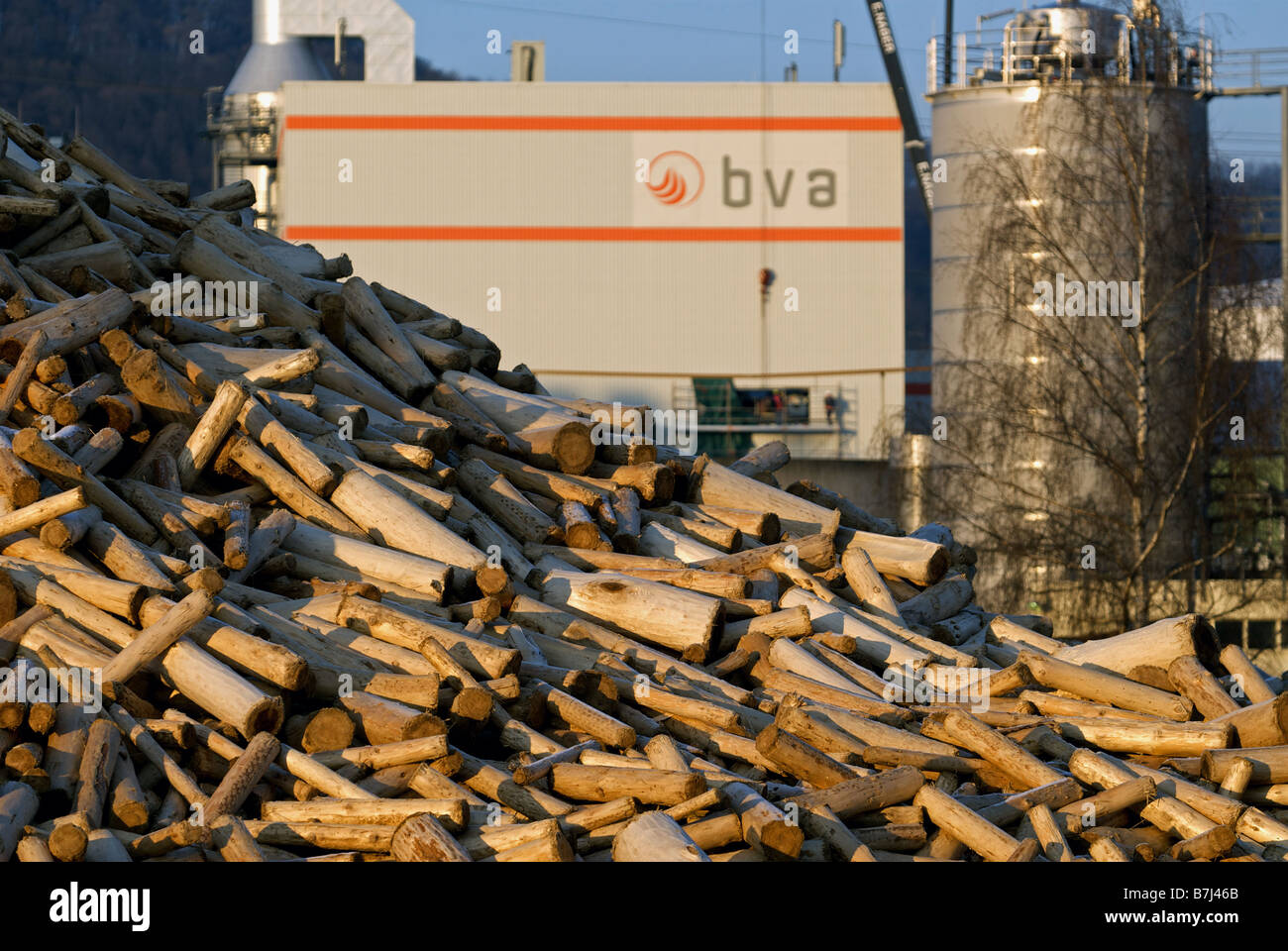 Commerciale del legno-che brucia la stazione di potenza, Hagen, Renania settentrionale-Vestfalia (Germania). Foto Stock