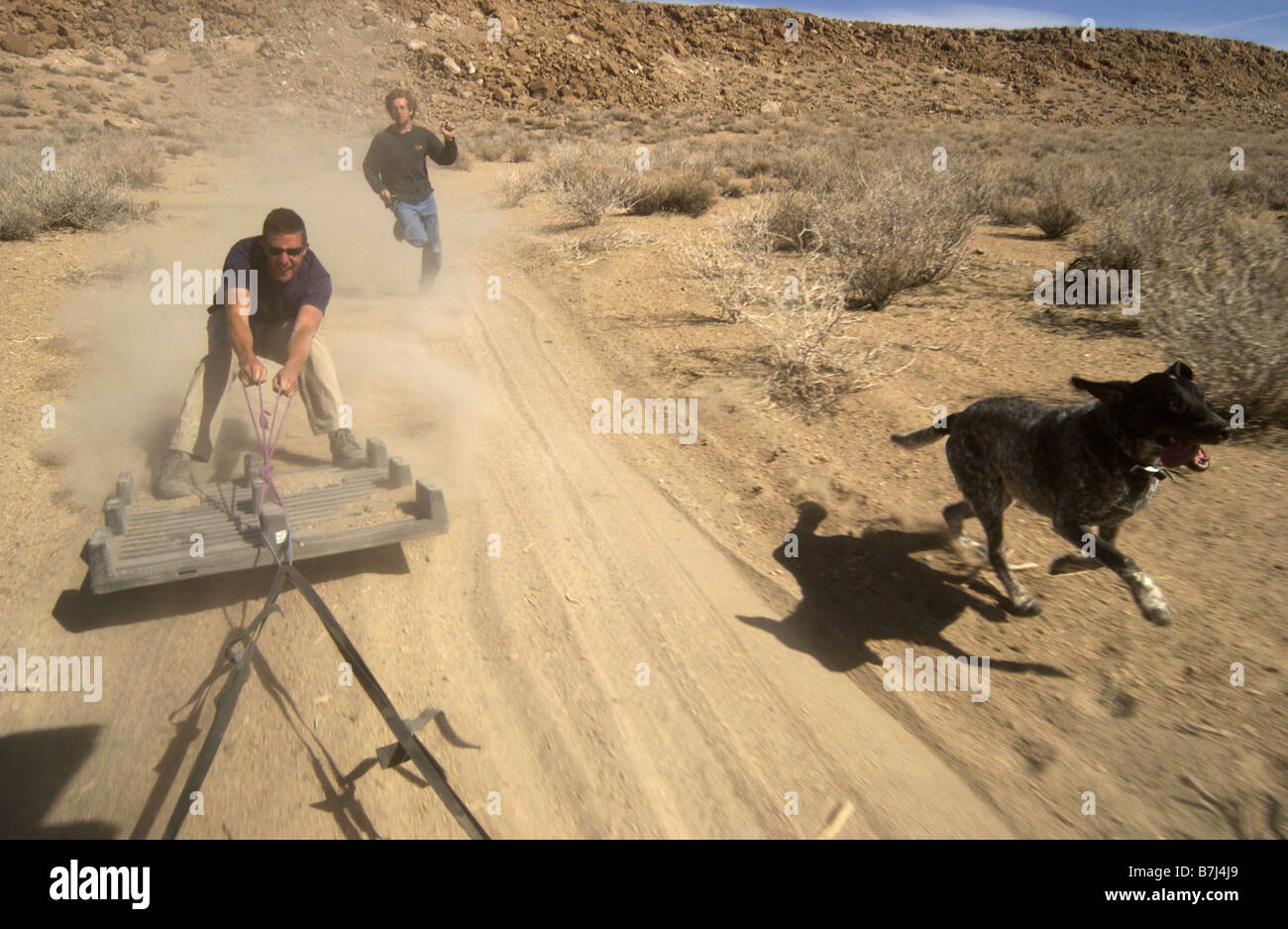 Due uomini (20-30) e il loro cane surf dietro un auto su una tavolozza di plastica su una strada sterrata, Vescovo, CALIFORNIA, STATI UNITI D'AMERICA Foto Stock