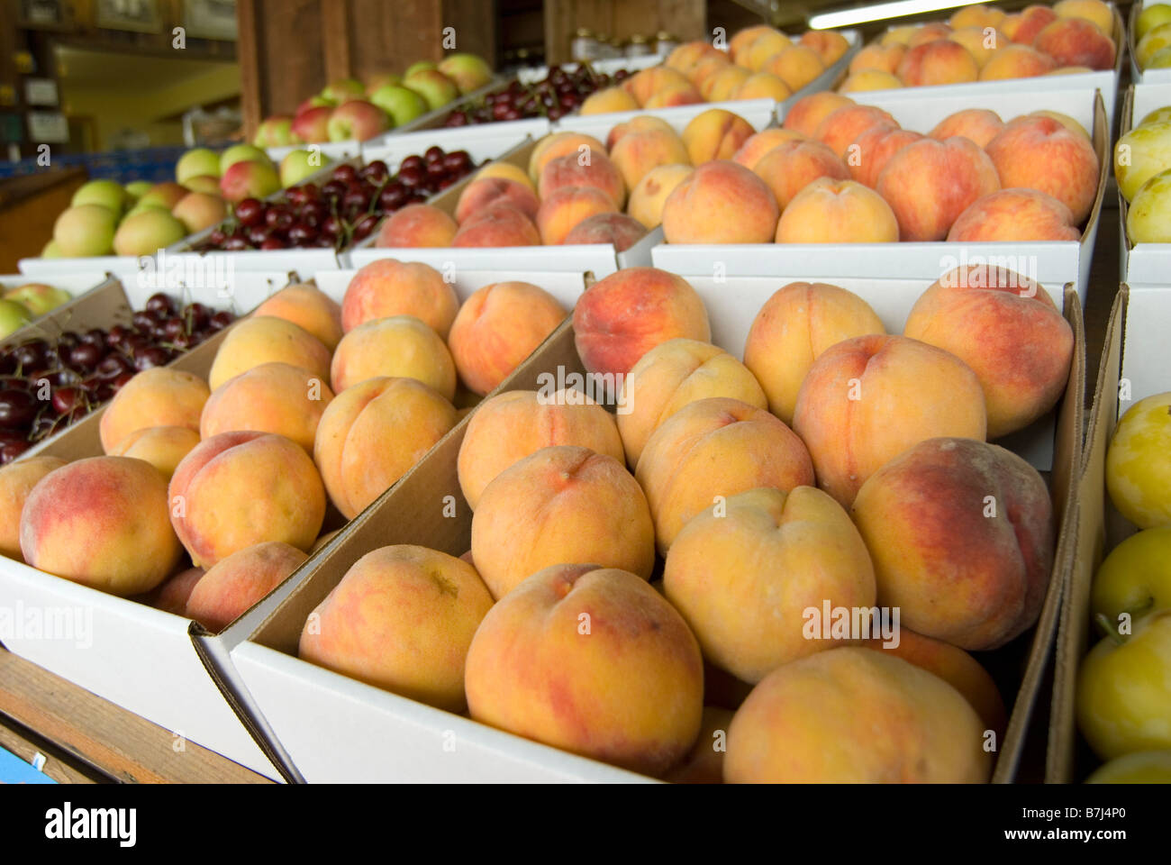 Frutta fresca a una banchina di frutta stand, Keremeos, BC, Canada Foto Stock