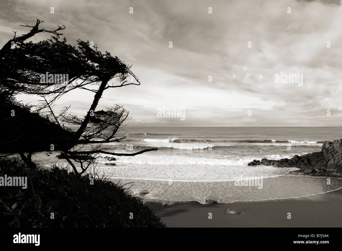 Caldaia Bay Oregon Coast lungo l'autostrada 101 STATI UNITI D'AMERICA Foto Stock