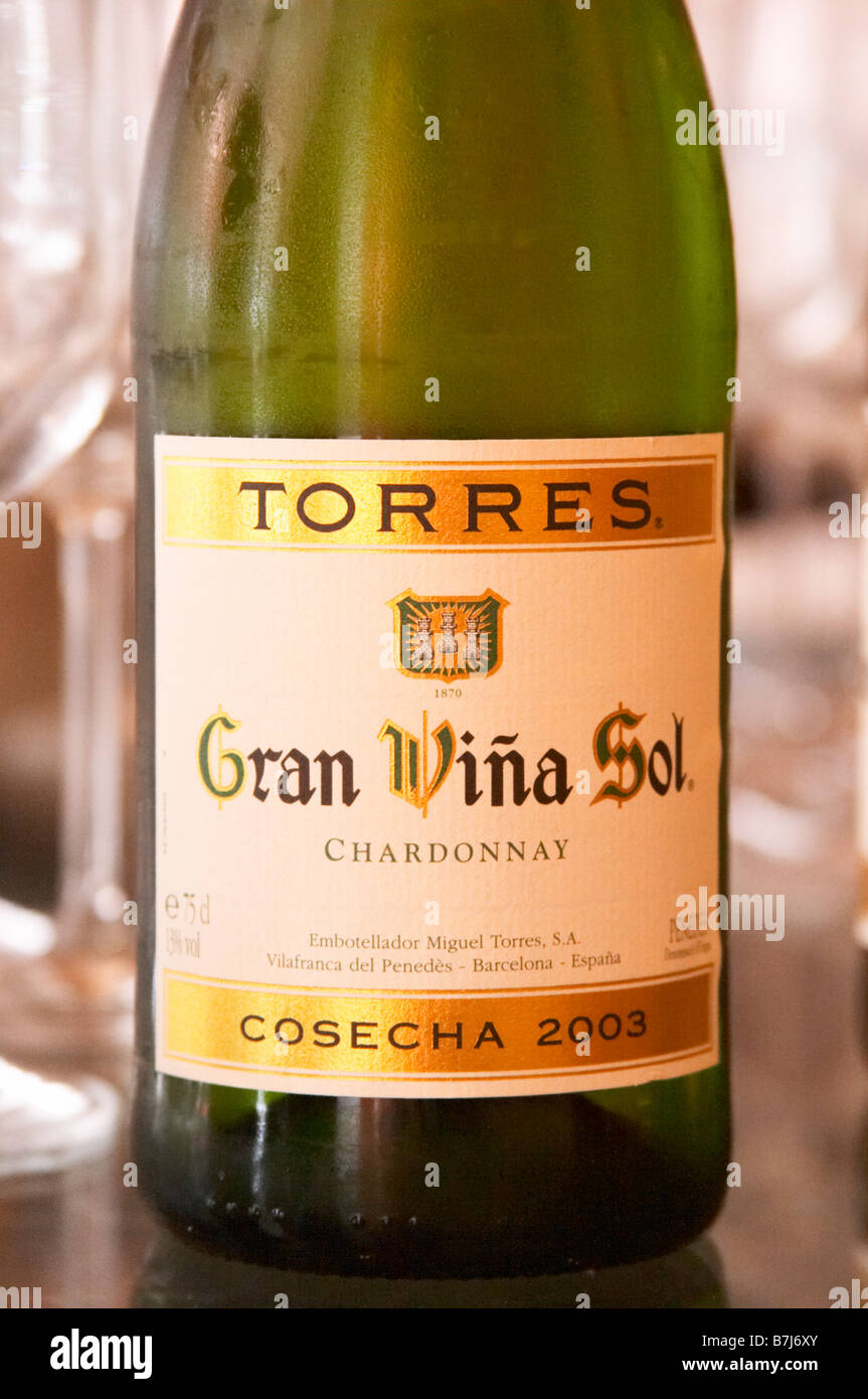 Gran Sol Vina Chardonnay 2003. Torres Penedes Catalogna Spagna Foto Stock