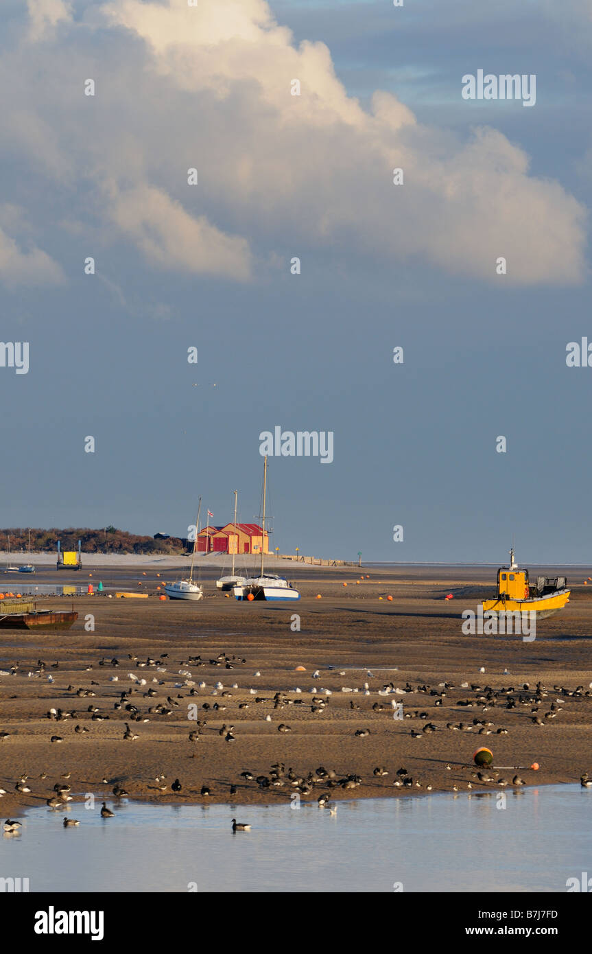 Brent oche branta bernicla uccelli nel canale di marea che mostra la stazione di salvataggio pozzetti accanto il mare North Norfolk REGNO UNITO Foto Stock