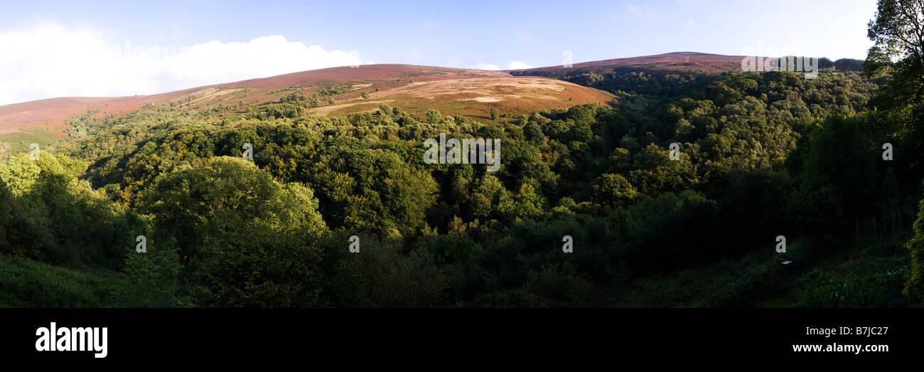 Una vista panoramica su Exmoor verso Dunkery Hill e Dunkery Beacon da Cloutsham, Somerset UK Foto Stock