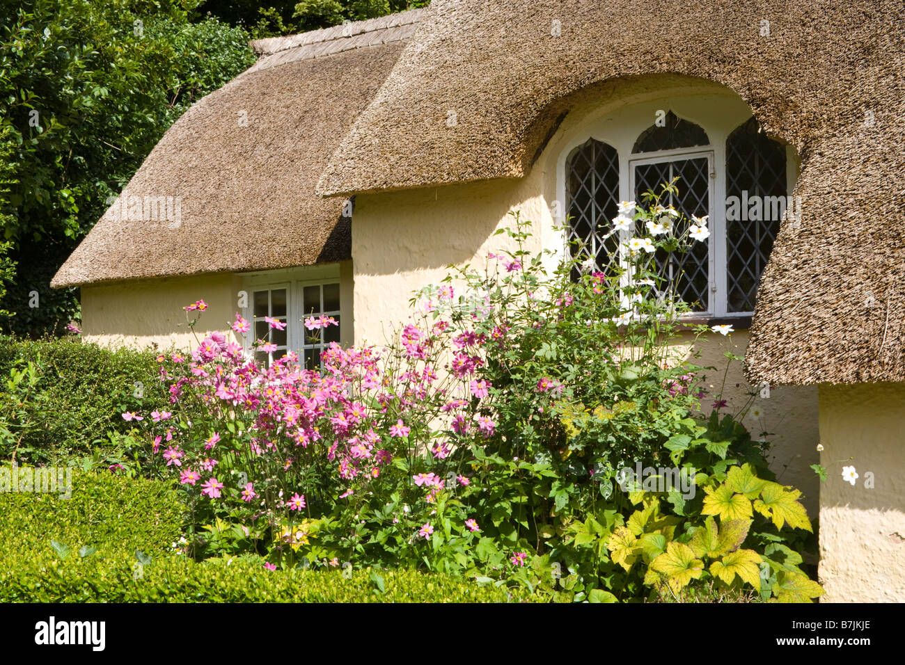 Un cottage con tetto di paglia su Selworthy verde, Exmoor, Somerset Foto Stock