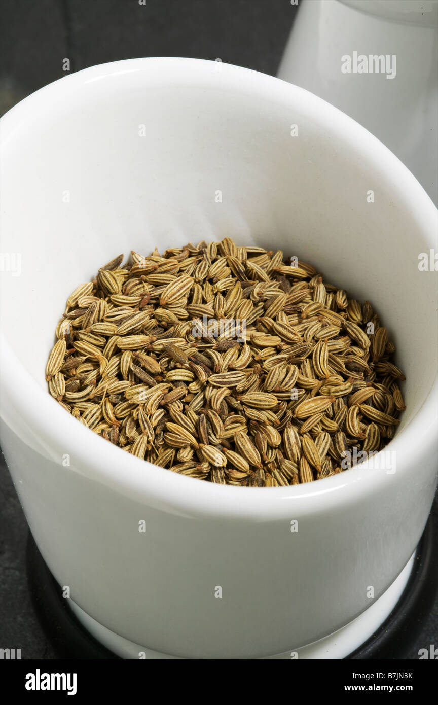 AGA pestello e mortaio con semi di finocchio spice pronto per essere macinato in cucina cuocere sulla superficie del lifestyle cucina moderna in indian Foto Stock