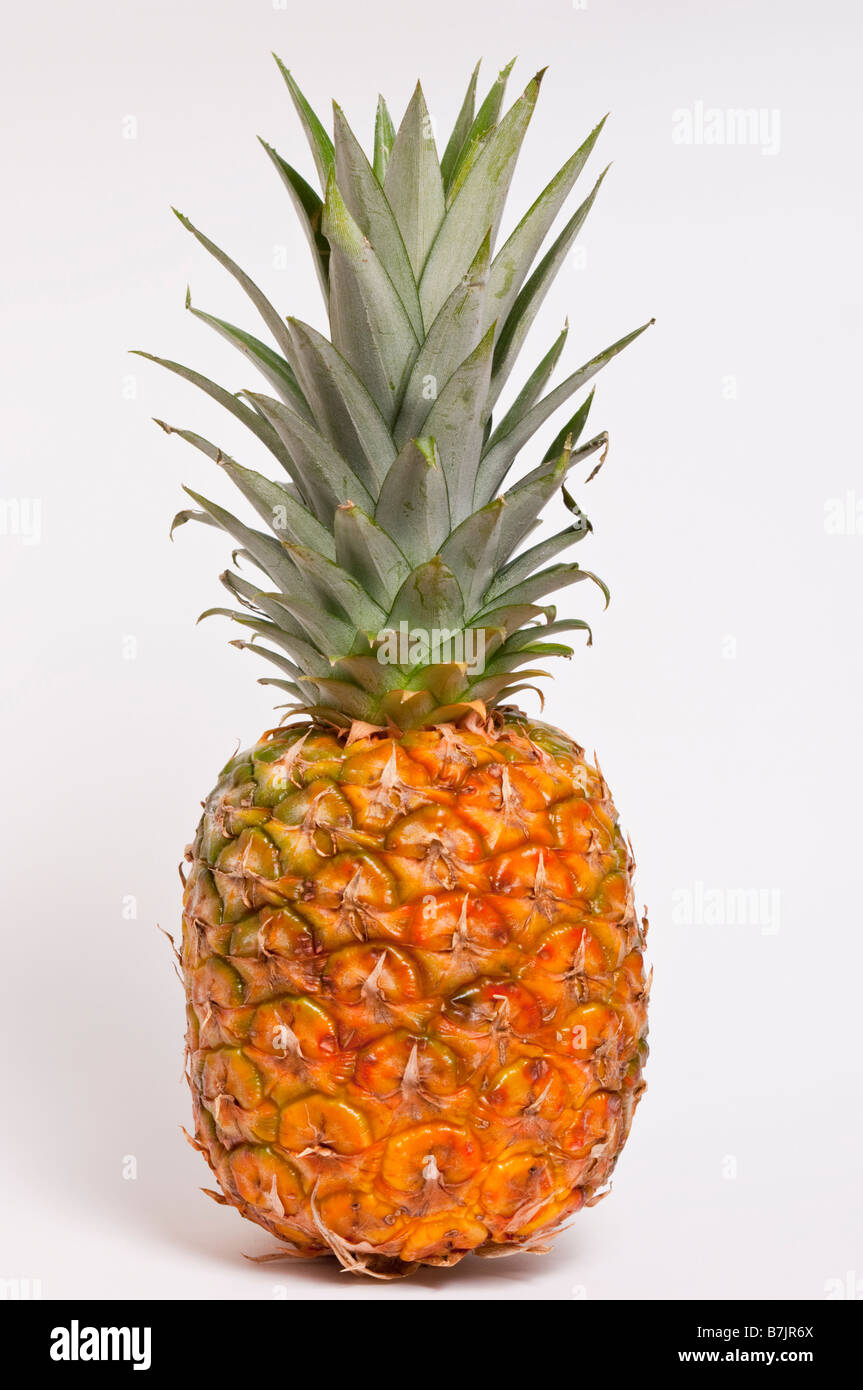 Un ananas frutta shot su sfondo bianco Foto Stock