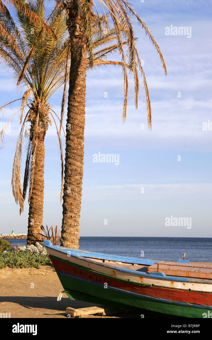 Barca e palme sulla spiaggia di Benalmadena Costa Del Sol Andalusia Malaga Spagna Foto Stock