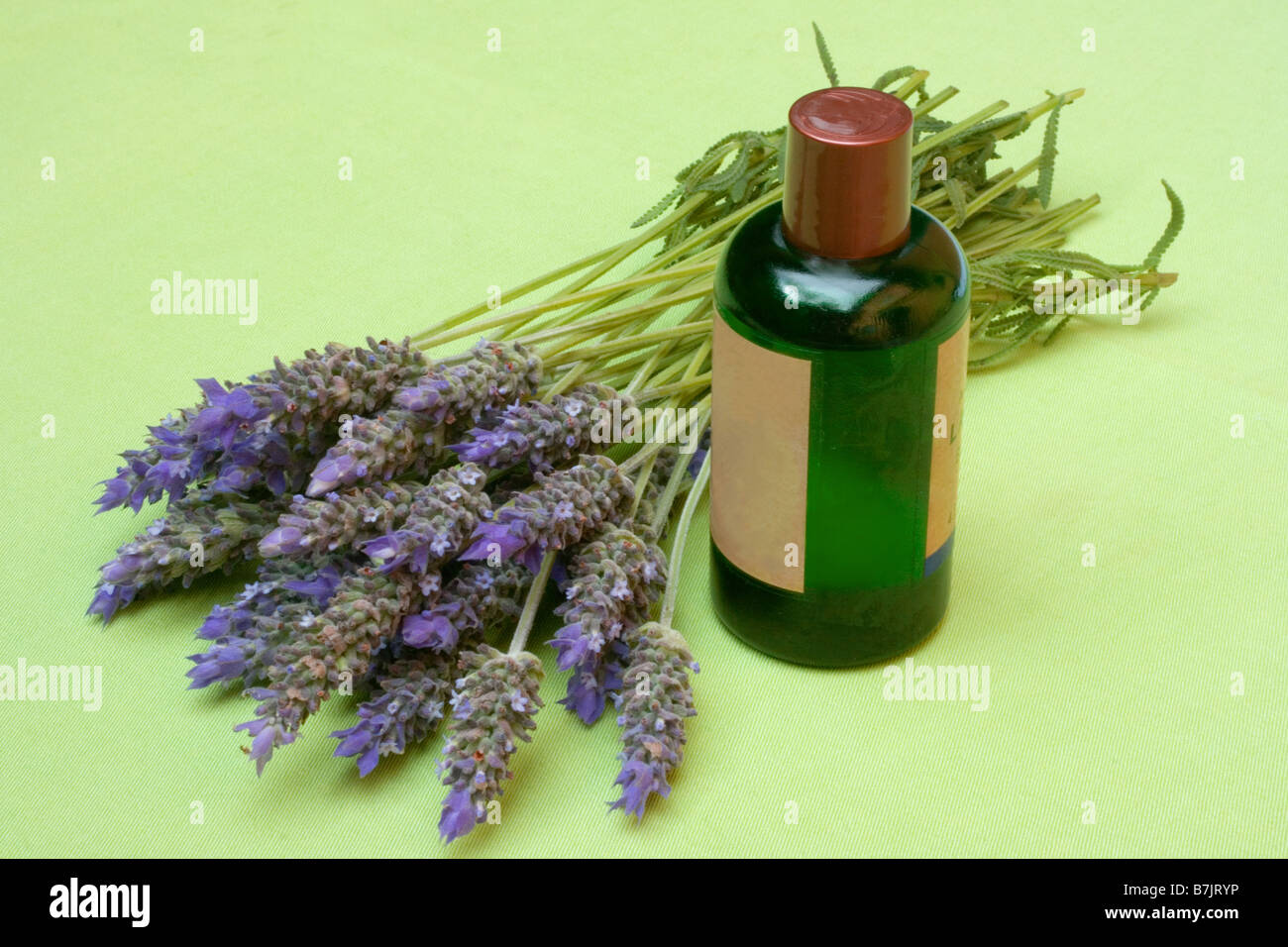 L'olio essenziale di lavanda Foto Stock