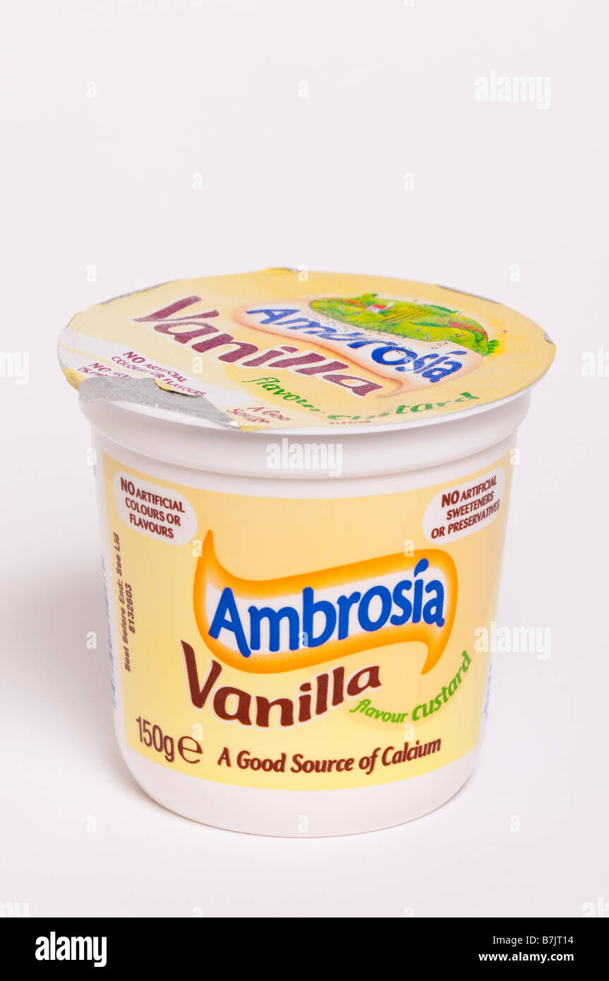 Una vasca di Ambrosia aroma vaniglia crema pasticcera,una buona fonte di calcio shot su sfondo bianco Foto Stock