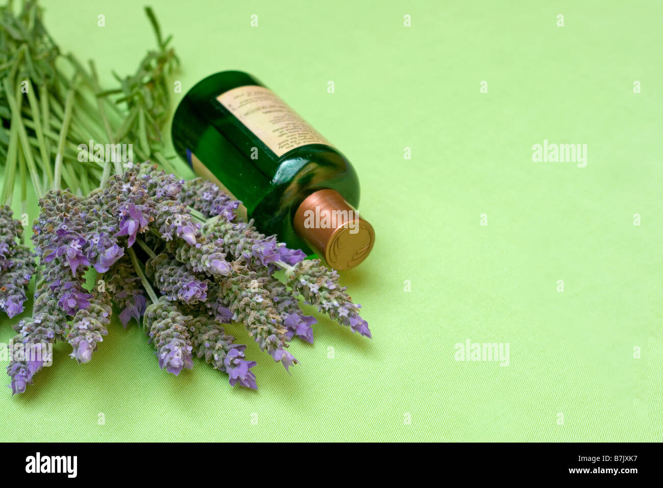 L'olio essenziale di lavanda Foto Stock