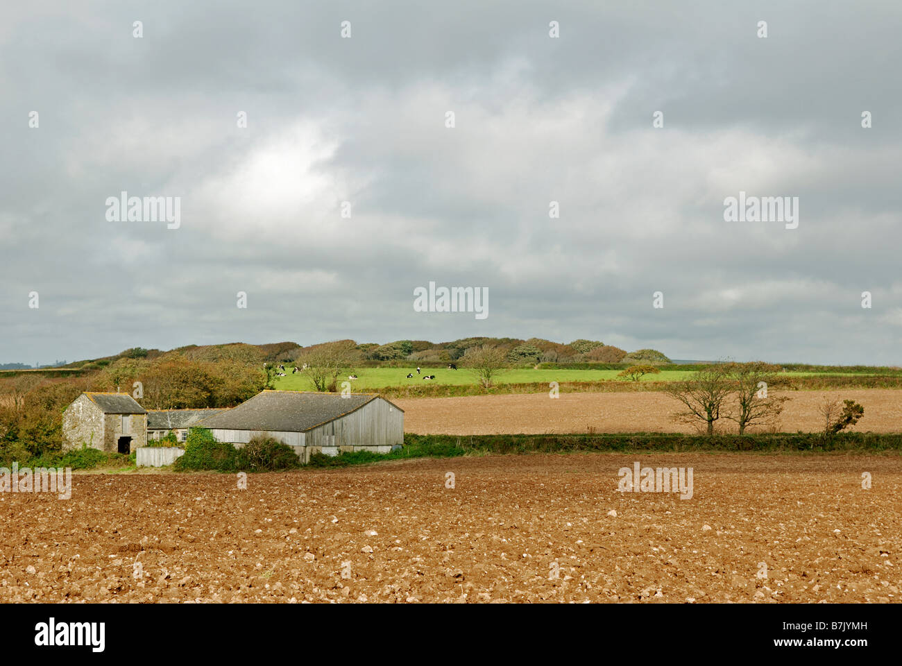 Terreni coltivati nei pressi di Helston in cornwall, Regno Unito Foto Stock