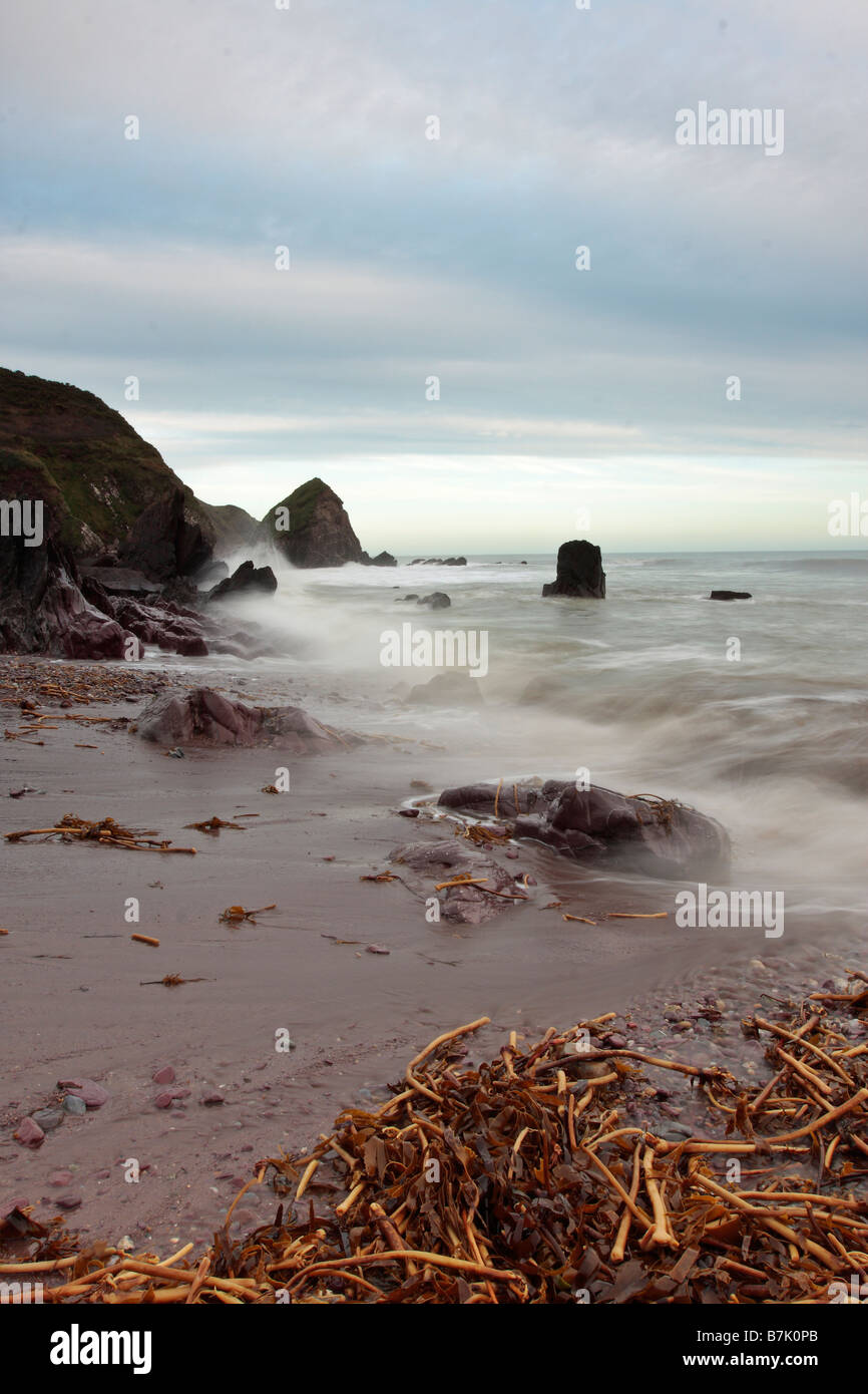 Spiaggia nella Contea di Waterford Foto Stock