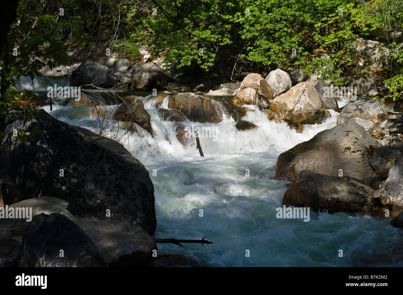 Whitewater creek in Yosemite National Forest, California Foto Stock