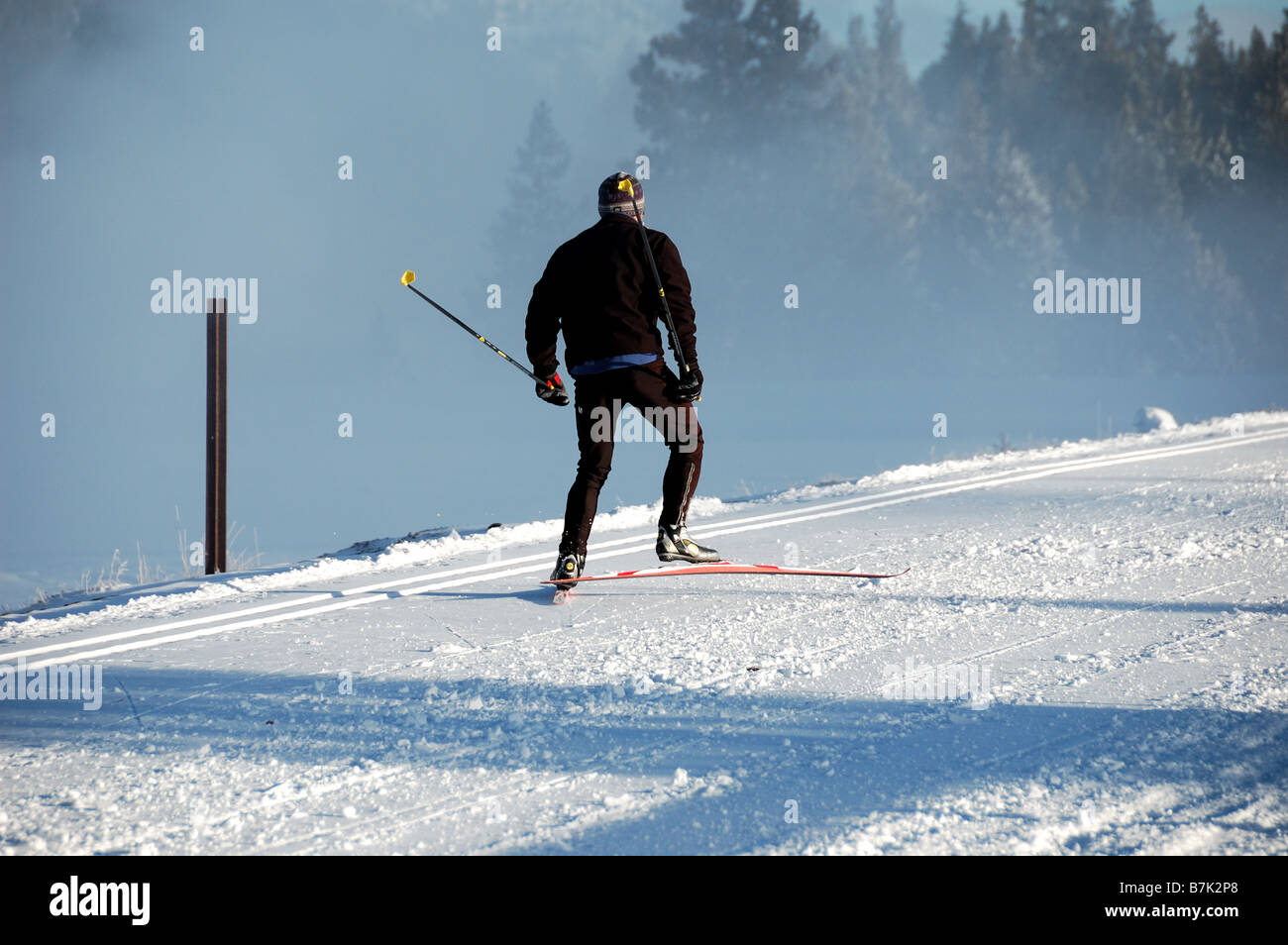 Un sciatore solitario nella nebbia di mattina. Il Parco Nazionale di Yellowstone, Wyoming negli Stati Uniti. Foto Stock