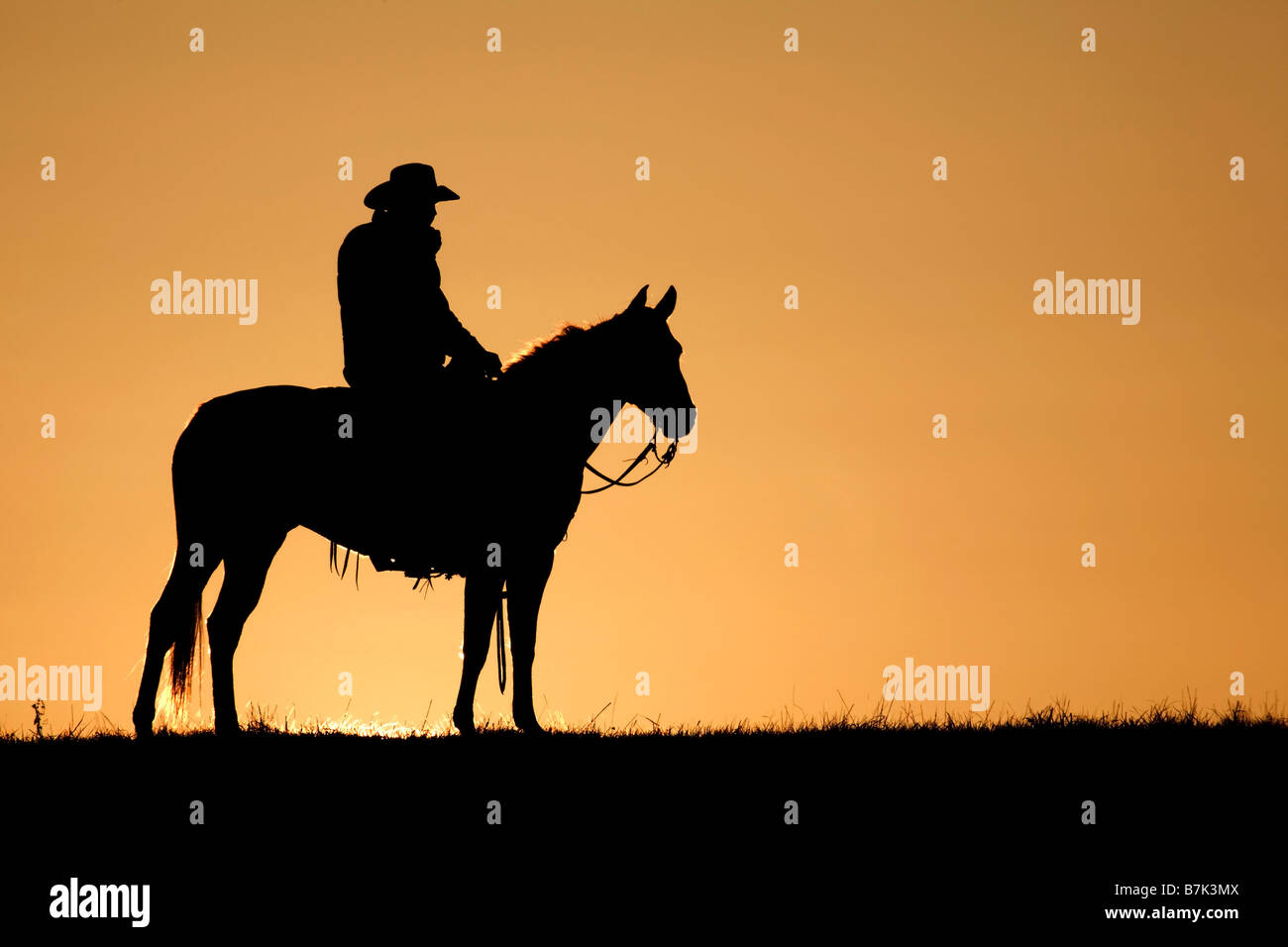Cowboy equitazione quarto cavallo sulla gamma all'alba Foto Stock