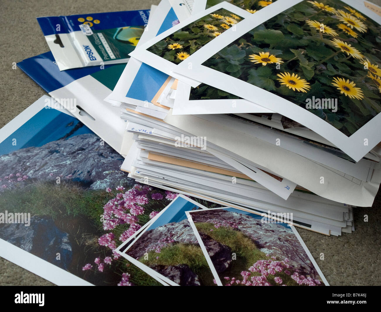 Ancora la vita di un mucchio di scartato botaniche stampe fotografiche illustra lo spreco di carta per la stampa Foto Stock