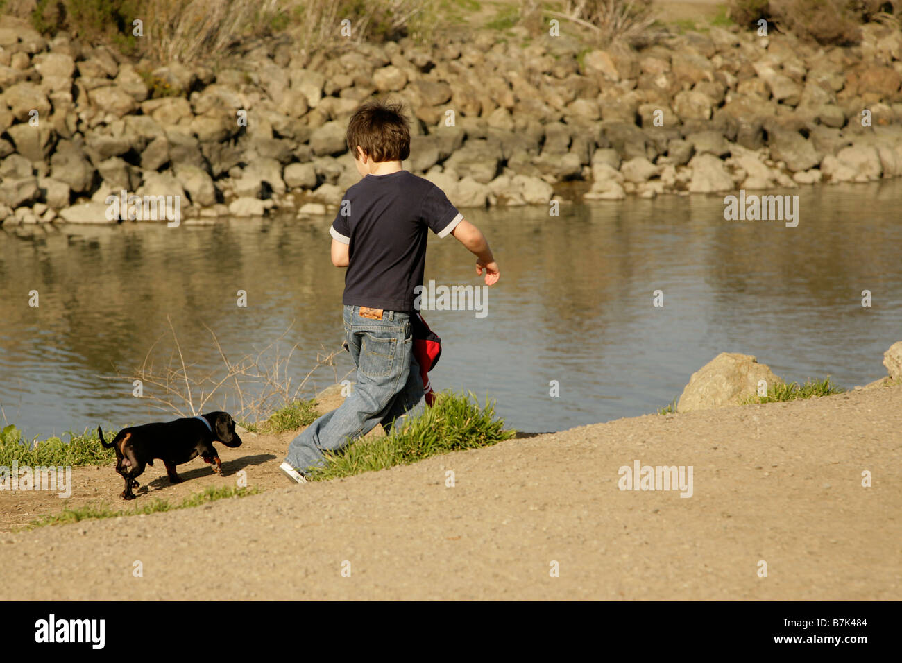 Un ragazzo giovane con atteggiamento a piedi con il suo cane daschund Foto Stock