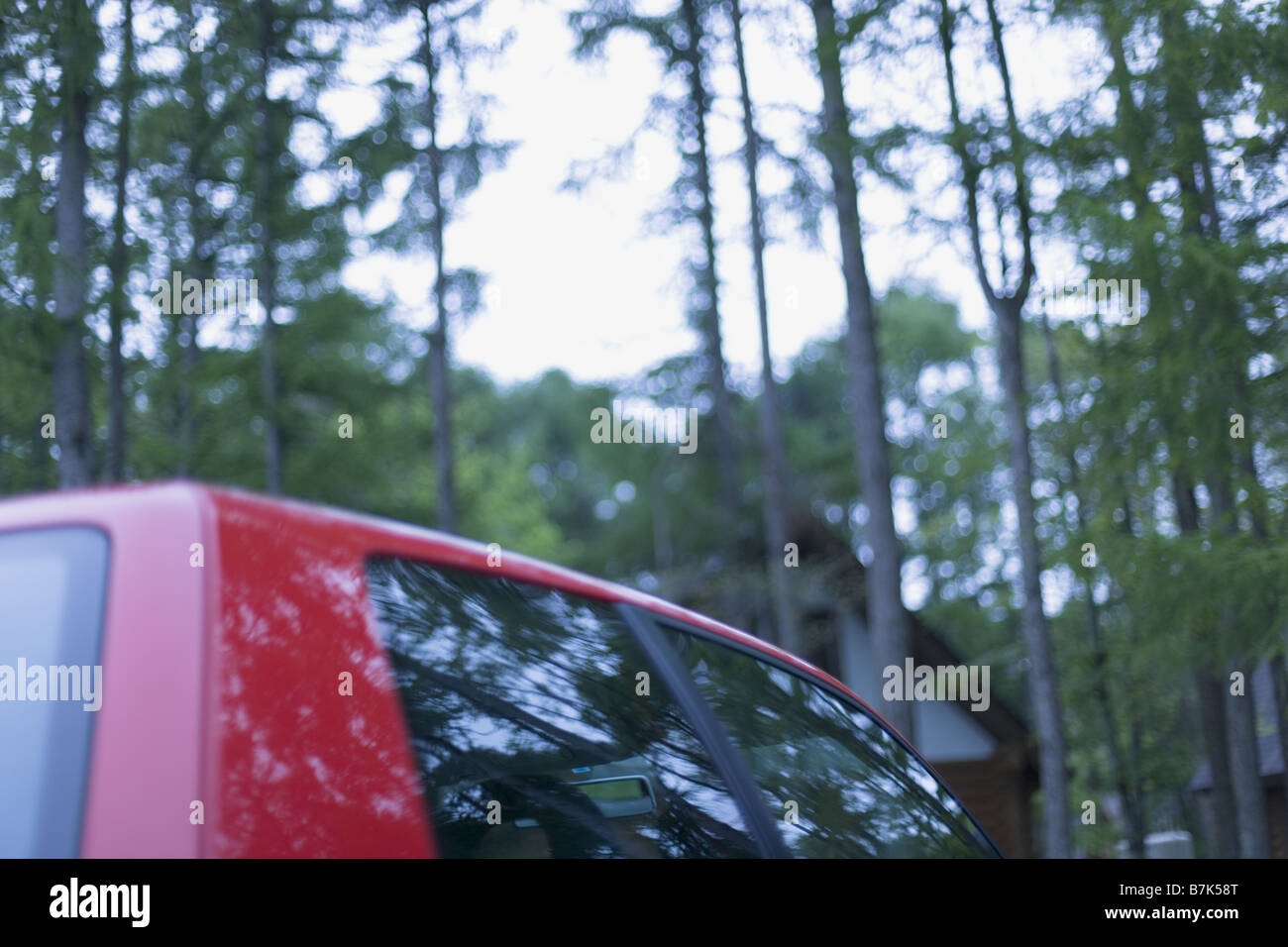 Auto rossa ombreggiata da mazzetto di alberi Foto Stock