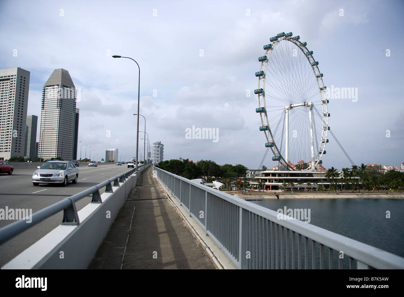 Il Singapore Flyer in Singapore Foto Stock