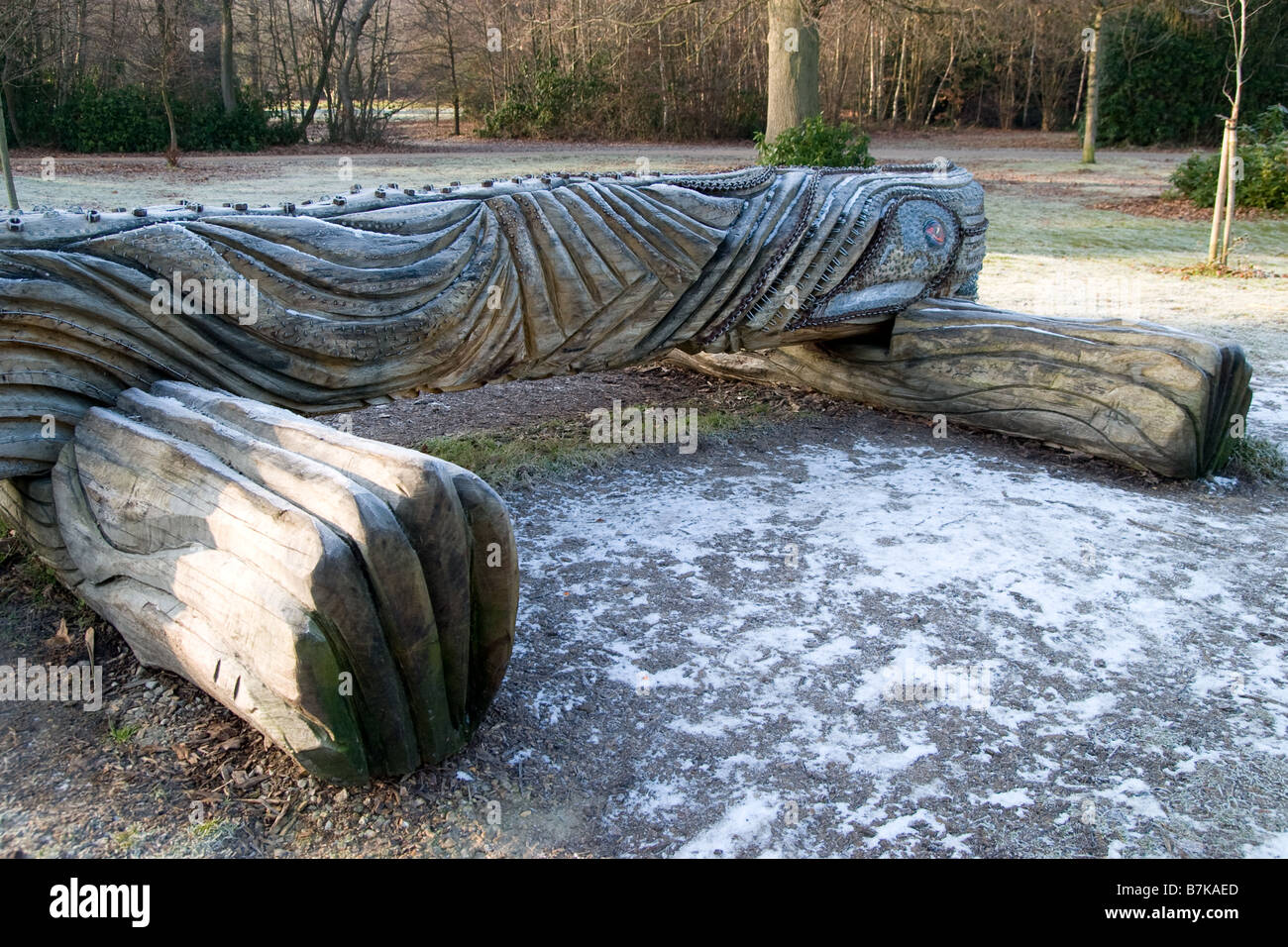 Un intaglio di log in una foresta. Foto Stock