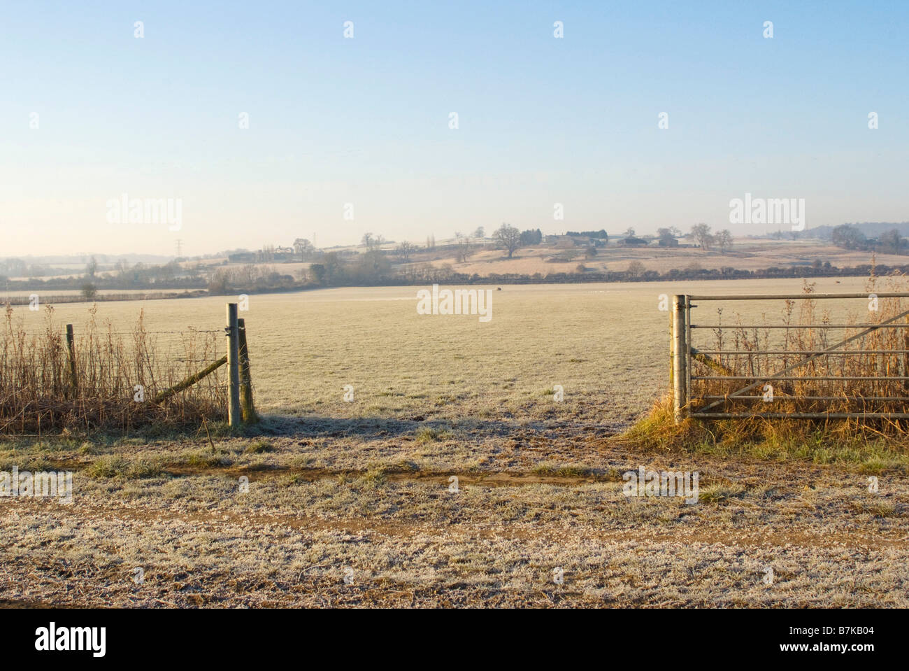 Frosty campi nel nord Hinksey inverno Foto Stock