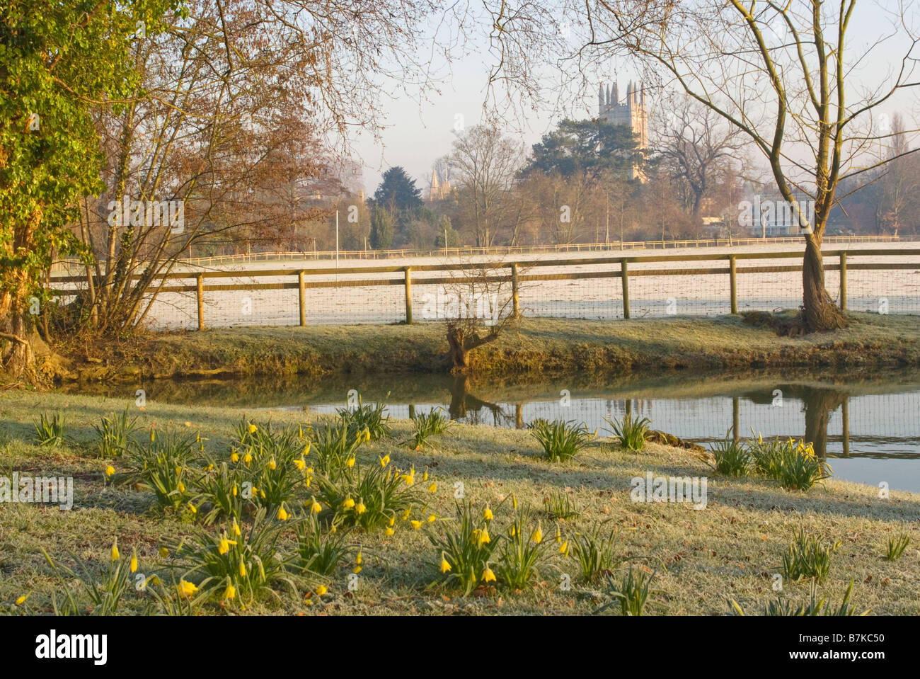 Magdalen Tower su campo di Merton in inverno, Oxford Foto Stock