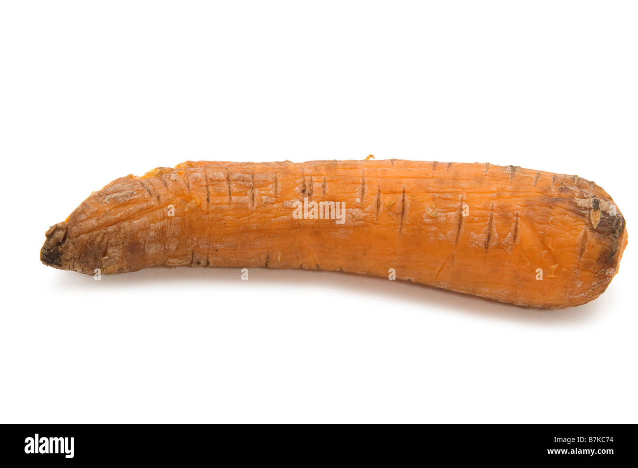 Oggetto su alimento bianco carota lessata Foto Stock