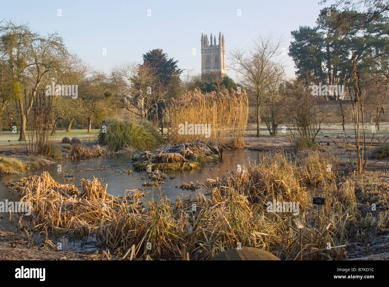 Giardino Botanico e Magdalen Tower in inverno, Oxford Foto Stock