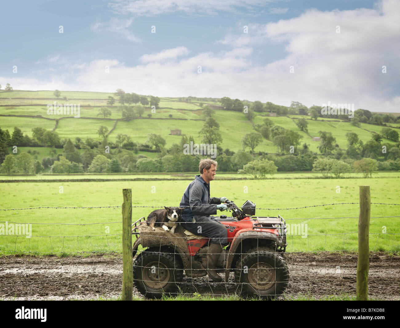 L'agricoltore e cane sul trattore Foto Stock