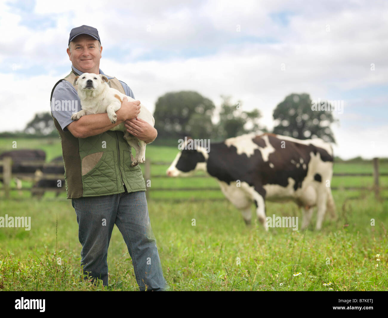 L'agricoltore che detiene un cane in campo di vacca Foto Stock
