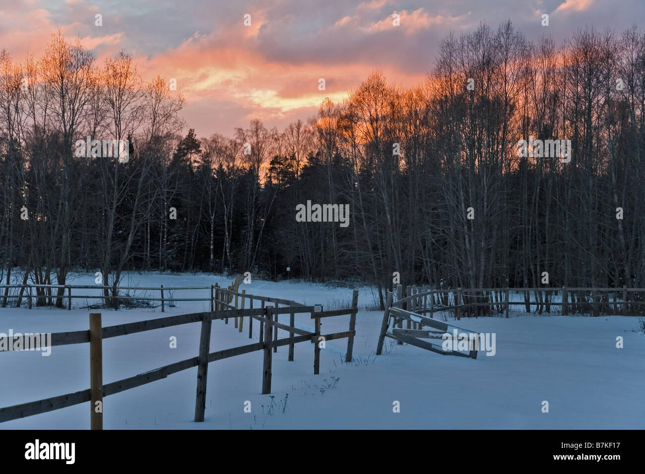 Männikjärve Bog, Endla Riserva Naturale, Estonia, Europa Foto Stock