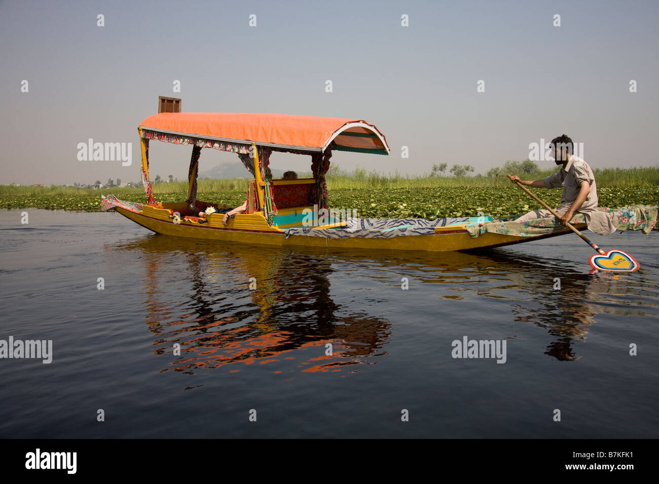 Shikaras sul Lago Dal in Scrinagar, Kashmir Foto Stock