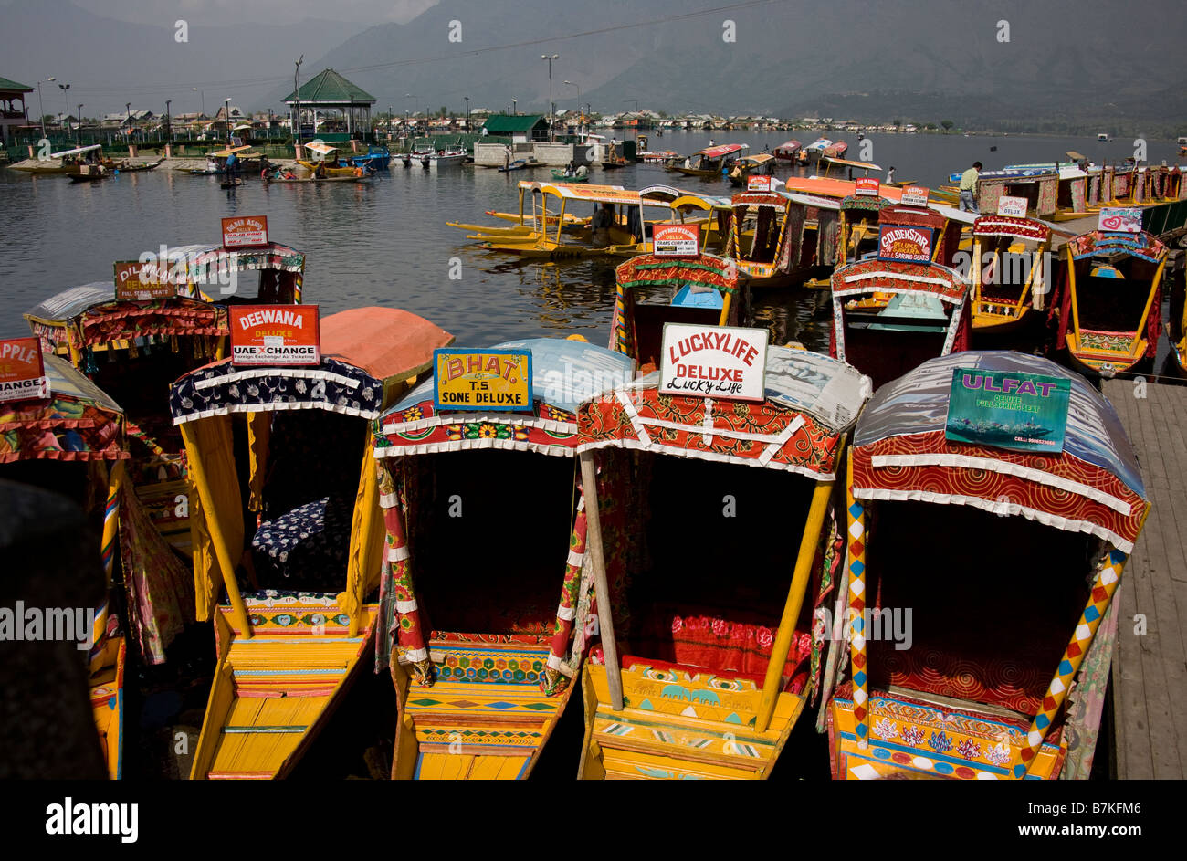 Shakaras sul Lago Dal in Scrinagar, Kashmir Foto Stock