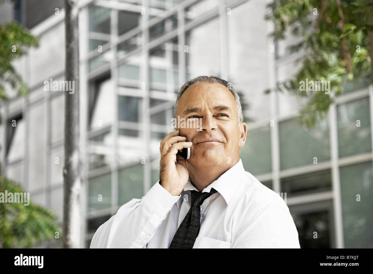 Uomo che parla sul suo telefono cellulare Foto Stock