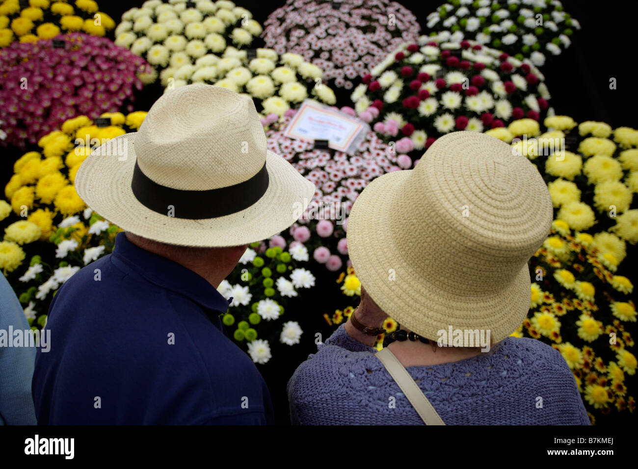 I visitatori a Shrewsbury Flower Show sfogliando i display Foto Stock