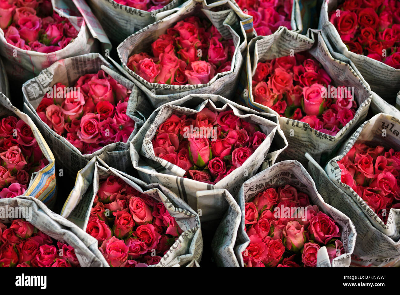 I grappoli di taglio fresco di rose rosse avvolti in un giornale a Pak Khlong Talad flower market Bangkok in Thailandia Foto Stock