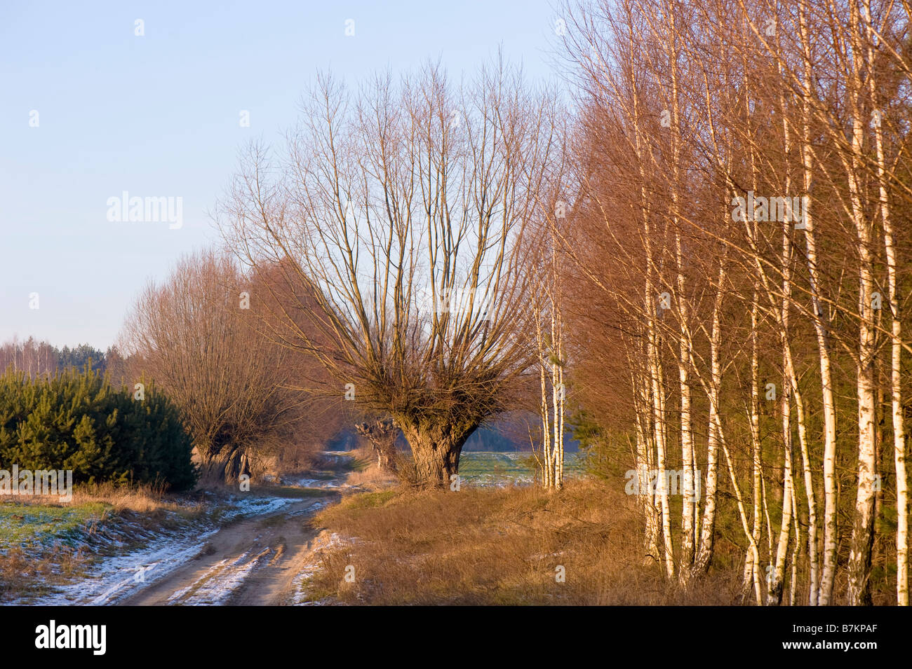 Paesaggio Di Inverno in campagna remota della Polonia Foto Stock