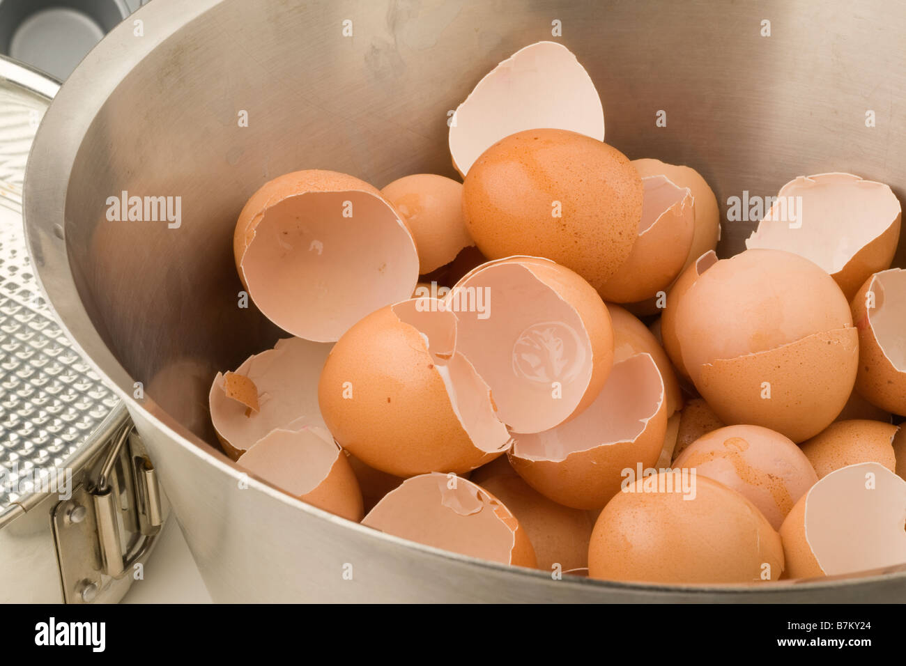 Gusci d'uovo Foto Stock