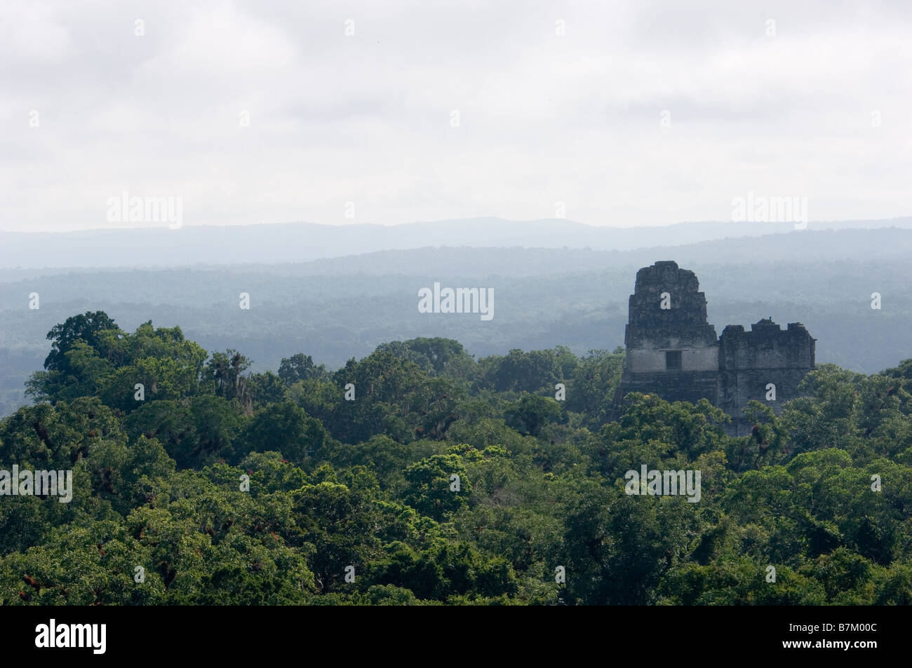 Templi 1 e 2 che si eleva al di sopra della foresta pluviale. Tikal. Guatemala Foto Stock