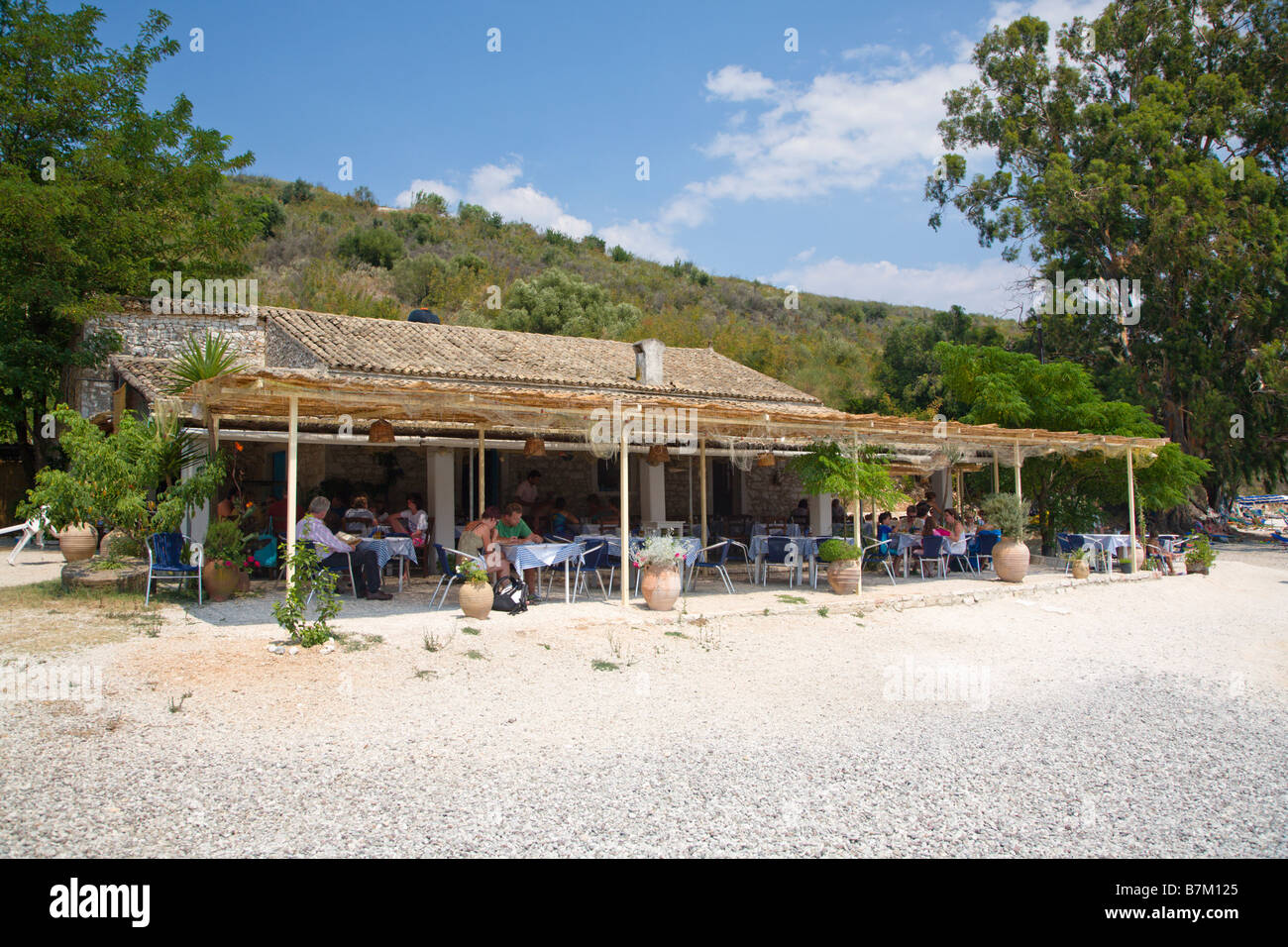 I turisti presso il ristorante di eucalipto Agios Stephanos Corfù Foto Stock