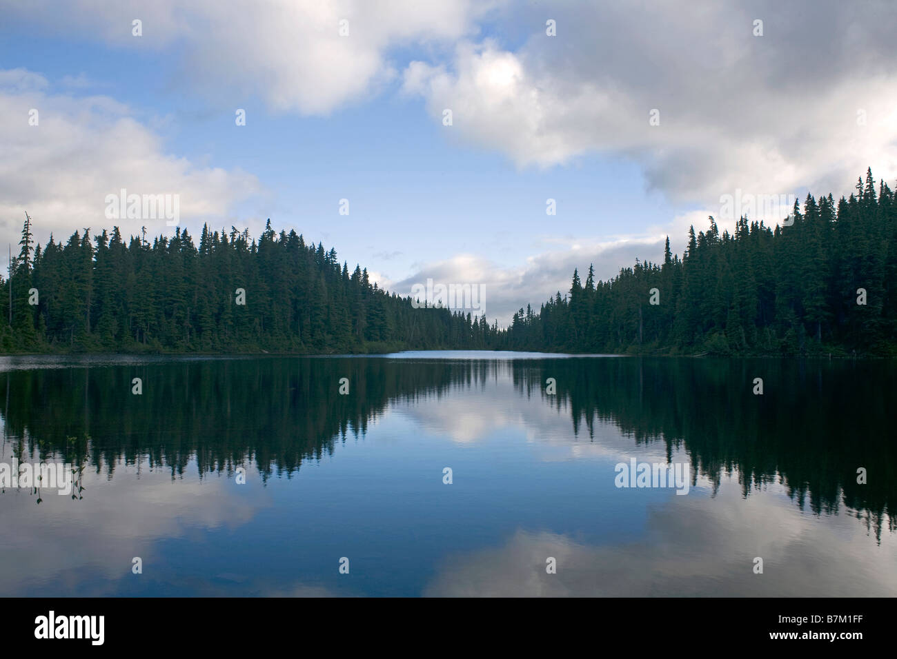 BRITISH COLUMBIA - Kwia lago nel vietato Plateau-Paradise area Prati di Strathcona Provincial Park sull'Isola di Vancouver. Foto Stock