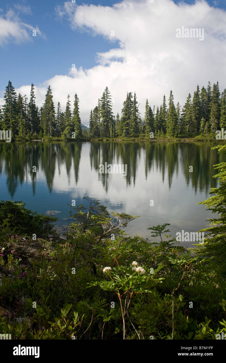 BRITISH COLUMBIA - Lago Kwia nell'Altopiano vietato/Paradiso area Prati di Strathcona Provincial Park. Foto Stock