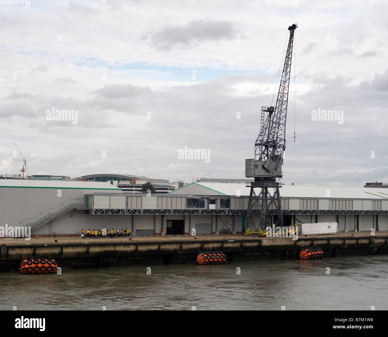 Gru di banchina presso il terminal delle navi da crociera e Southampton Inghilterra, Regno Unito. Foto Stock