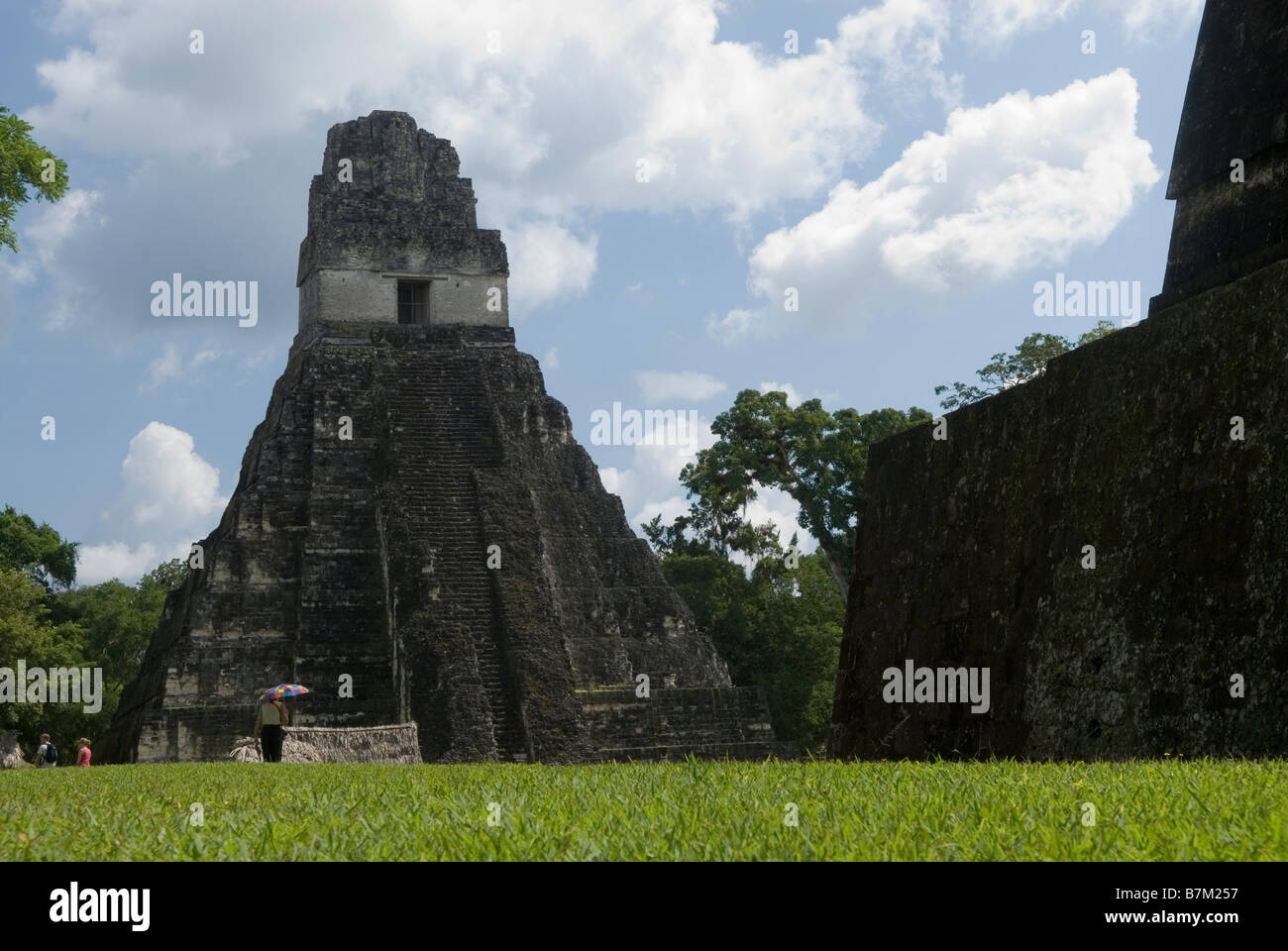 Vista del tempio mi da l'Acropoli del Norte. Tikal, Guatemala. Foto Stock