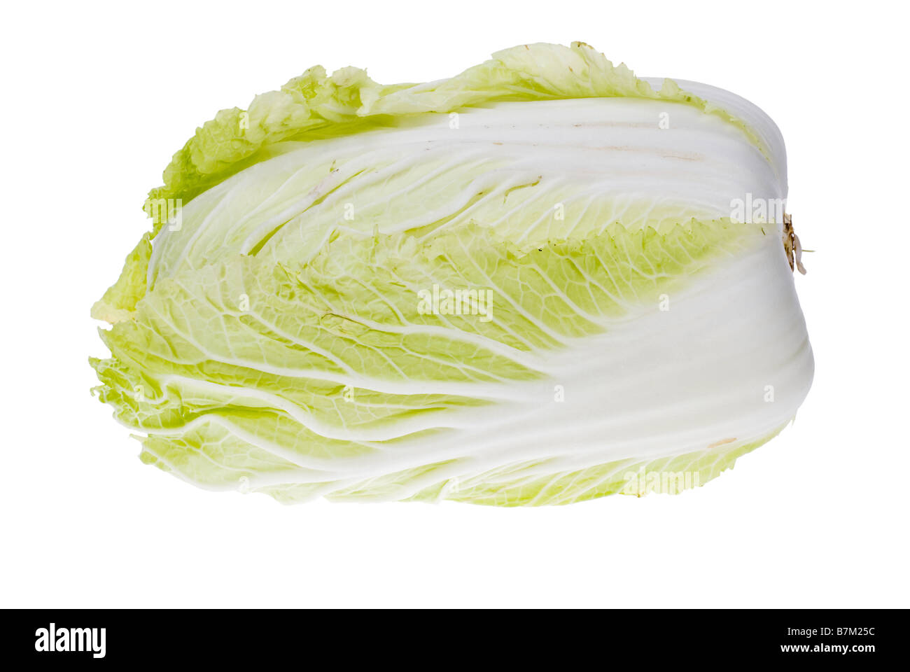 Freschi cavoli cinesi isolato su uno sfondo bianco Foto Stock