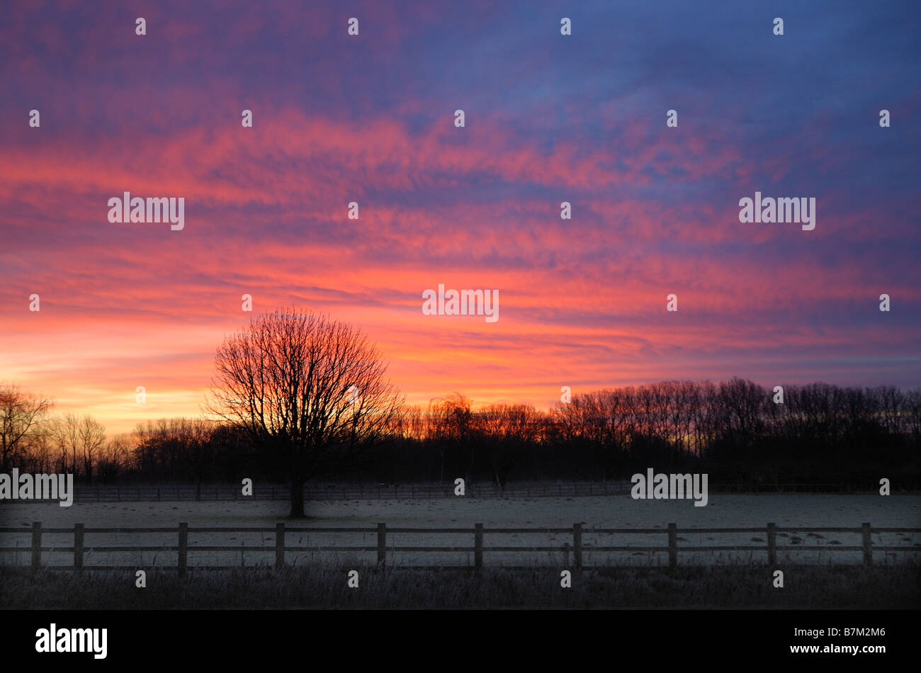 Cielo rosso Foto Stock