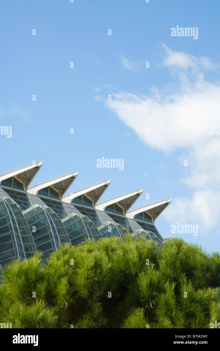 Dettaglio di mueum nel parco della scienza della Città delle arti e delle scienze - Ciudad de las Artes y las Ciencas Foto Stock