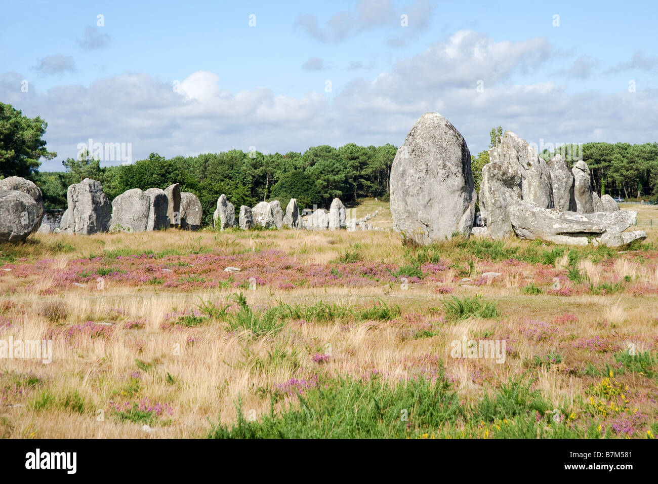 Megalitic alignements di pietre permanente di Kermario Carnac Foto Stock