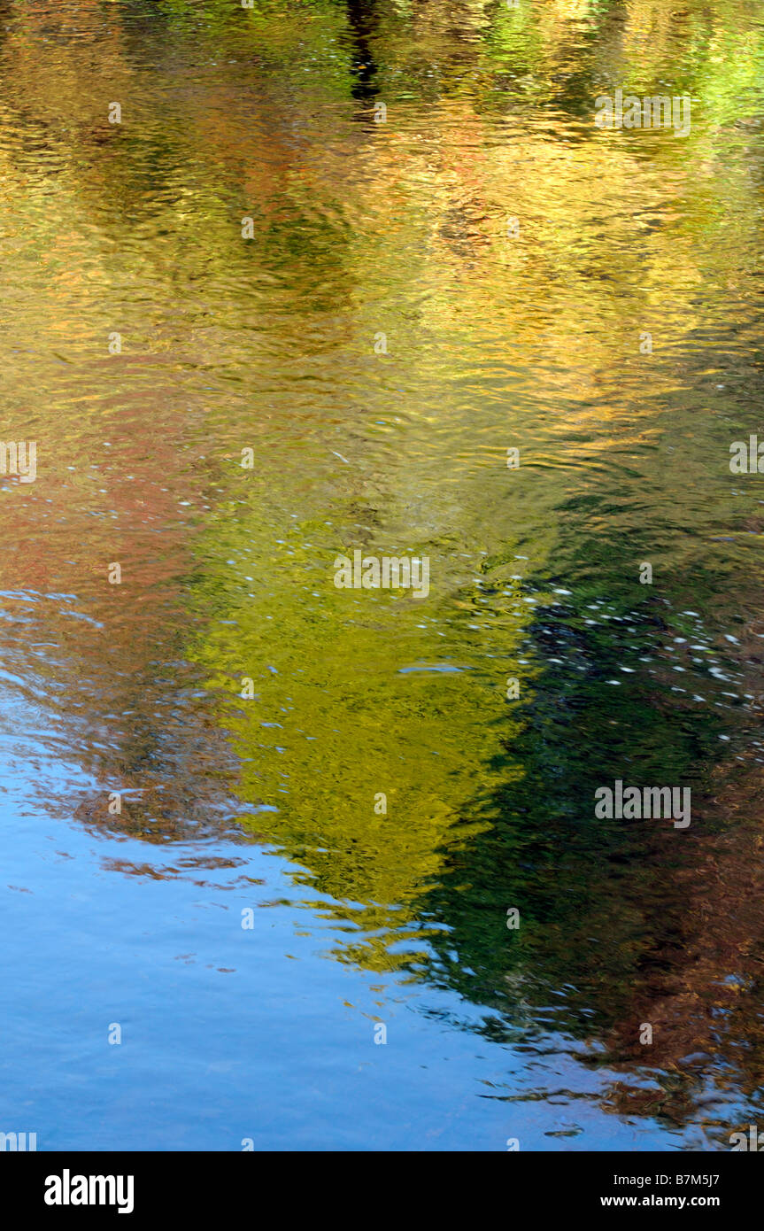 Alberi riflessa riflettono la riflessione sul fiume Vartry stream Wicklow Irlanda autunno autunno giallo arancione verde oro colori colori Foto Stock