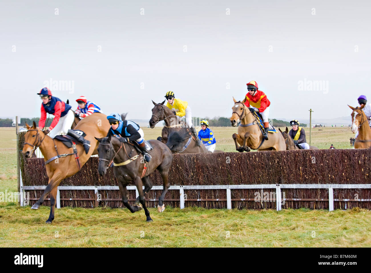 Punto a punto horse racing Larkhill Wiltshire, Inghilterra Foto Stock